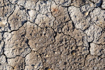 Fototapeta premium Dry soil in the cracks, natural background, hot climate. Drought land without water texture. The concept of global warming, cataclysms and drought.