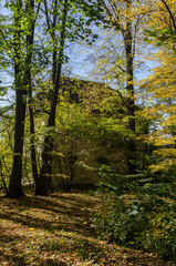 Naklejka premium Park koło dworu 