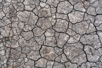 cracked earth texture