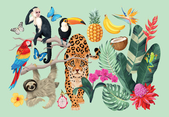 Vector set of tropical flora and fauna.