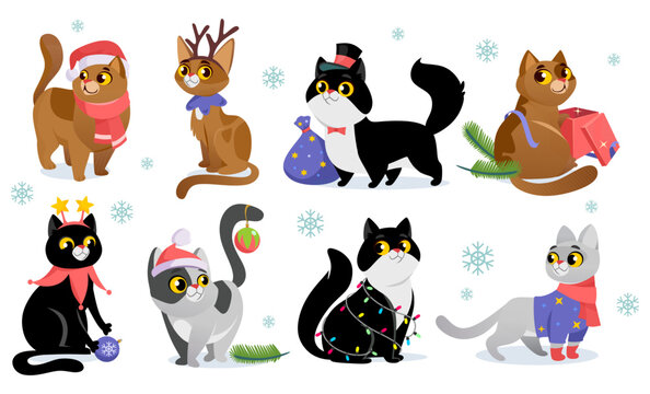 Set of cute Christmas cat characters in costumes, isolated on white background. Different cat breeds: Santa hat, knitted sweater and scarf, with gift box. Cartoon style vector illustration.