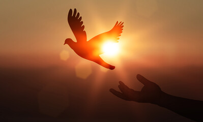 silhouette dove flying from two hands and liberty and international peace day concept