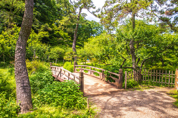 神奈川県　三渓園の風景
