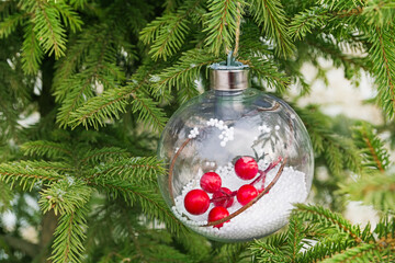 A transparent ball with a holly hangs on a green Christmas tree in the forest. New Year and...