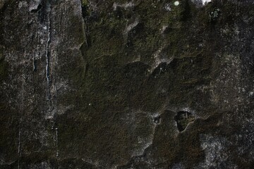 background concept using old cracked wall material, peeling wall surface forming abstract art, old wall background full of cracks and moss