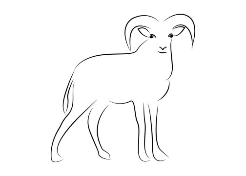 Line drawing of sheep. Vector illustration of sheep for logos at various events.