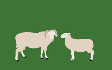 Naklejka premium sheep pattern, vector illustration of cute sheeps. Sheep standing. vector illustration of engraving sheep hands drawing.
