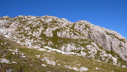 Hindelanger Klettersteig Gams Steinbock mountain Alpinism Rock climb bavaria 