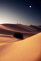 view of nice sands dunes at Sands Dunes National Park - 544899352