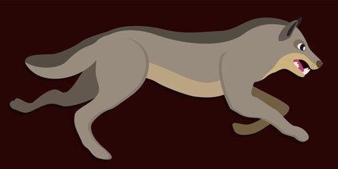 Running wolf. Vector illustration on dark brown background. Wild wolf with opened mouth, big tooth. Hunter. Wildlife concept.
