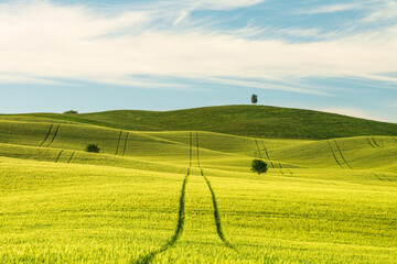 Verdi colline in Val d'Orcia, Toscana