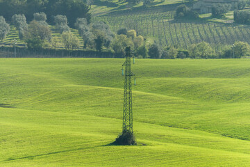 Tranquil countryside landscape with green fields and trees