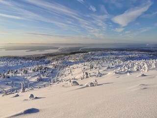 Beautiful winter view of snow-covered fir trees and White sea from top of Volosyanaya mountain. Kandalaksha city, Kola Peninsula, Murmansk region. 