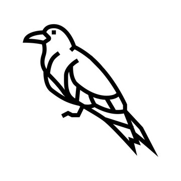 recommend clip art: inca tern bird exotic line icon vector. inca tern bird exotic sign. isolated contour symbol black illustration