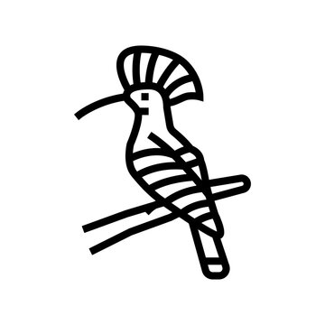 recommend clip art: hoopoe bird exotic line icon vector. hoopoe bird exotic sign. isolated contour symbol black illustration