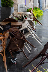 Empty wet wooden table and chairs on terrace of outdoor cafeteria during rain. Street city life in rain