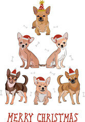 Fototapeta premium Chihuahua dogs wearing winter hats. Cute funny dogs.Abstract Christmas tree. Vector illustration. Merry Christmas greeting card with the cute funny dogs, holiday, purebred with happy eyes, sitting.