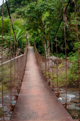 Rural bridge on the tropical jungle