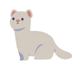 ferret winter animal