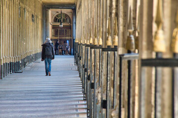 people walking on the street