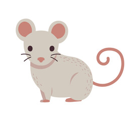 mouse winter animal