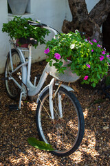 Fototapeta na wymiar Flowers decorated on a vintage white bicycle in a resort.
