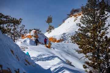 group of hikers trudging through snowy bryce canyon; winter hiking in the usa; magical winter in...