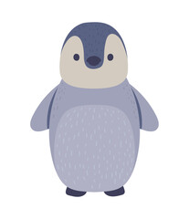 penguin winter animal