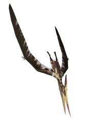 Pteranodon diving - 3D render © Elenarts