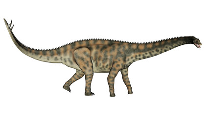 Obraz na płótnie Canvas Spinophorosaurus dinosaur walking - 3D render