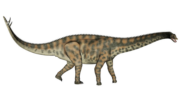 Spinophorosaurus dinosaur walking - 3D render