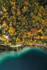 Top-down Fall Aerial of trees next to a turquoise lake with a road winding through. 