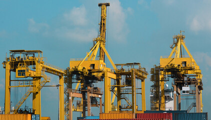 Fototapeta na wymiar Port authority inside with crane 