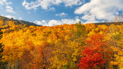 New Hampshire-Franconia-Cannon Mountain