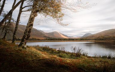 Trees next to beautiful Loch or Lake in Scotland, Loch Awe, Kilchurn Castle, Scottish Highlands. 
