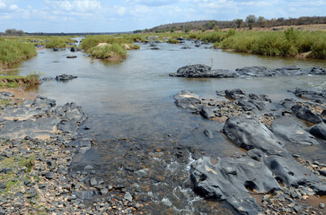 Fototapeta na wymiar Landscape with river and river valley in Kruger National Park