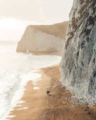 Couple walking on the beach beneath towering white chalk cliffs.  Two people walking on a beach. Jurassic coast, Dorset.  