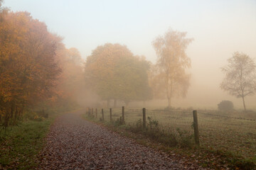 Misty Autumn morning in Leicestershire, Beacon Hill Country Park