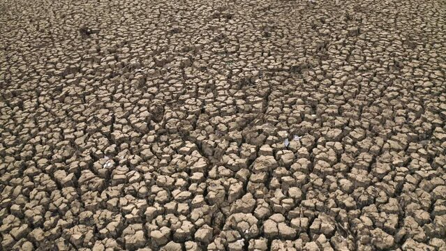 Dramatic view of droughty earth with deep cracks, the soil after the water draining. Concept of ecology issues, global warming, and the water crisis.