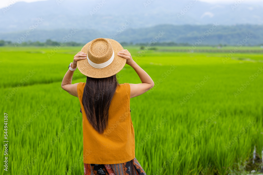 Canvas Prints Tourist woman in rice field in Yuli of Taiwan