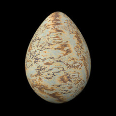 Bird's Egg 1