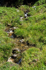 Kleiner Bach läuft durch eine Wiese
