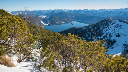 Fototapeta na wymiar pictorial alpine winter landscape bavaria. view from hiking trail Herzogstand to lake Walchensee