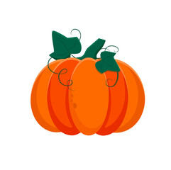 vector pimpin illustration cartoon