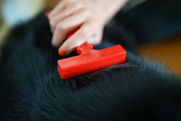 Woman brushes dog with a comb.
