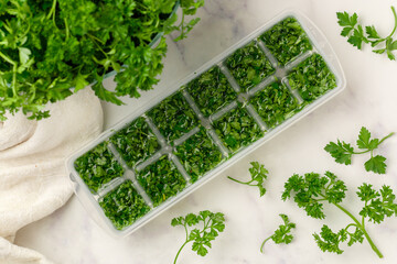 Frozen herbs for cooking. Fresh organic parsley and parsley ice cubes on a marble background. The concept of frozen food. Selective focus, top view and copy space - 544945343