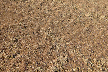 Piles of grain lie on the site. Harvest.