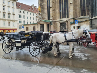 Naklejka na ściany i meble horse carriage on the streets of old town of Europe, horse drawn vehicle, tourist transport 