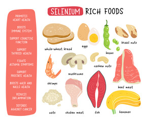 Selenium vector stock illustration. Food products with a high content of the mineral. tuna fish, meat, mushrooms, shrimps, brazil nuts, cashew, oats, bread, beans. Information poster. Food, diet.