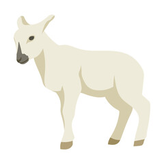 Cartoon domestic animal vector illustration. Farm animal lamb isolated on white background. Domestic animals, pets, farming, concept
